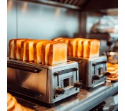 Гастрономічні тостери Royal Catering