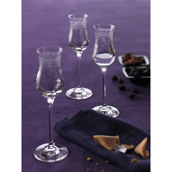 Zestaw kieliszków do grappy i rumu Leonardo CHATEAU (6 x 90 ml)