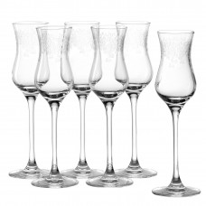 Zestaw kieliszków do grappy i rumu Leonardo CHATEAU (6 x 90 ml)