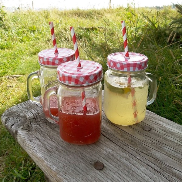 Пляшка для напоїв ORION 125551, скляна 450 мл, зі закруткою та соломкою (для напоїв на прогулянці)