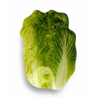 Піднос-тарілка Aria Fresh для подачі салату 14x20x1 см