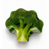 Піднос для сервірування Aria Fresh Naczynie brokuł 20x23x1 см компактний для подачі закусок