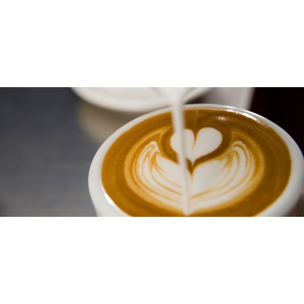 Mlecznik dzbanek stalowy do spieniania mleka 580ml do serwowania