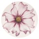 Сервіз обідній Rose&Tulipani Cosmea для 6 осіб, столовий посуд для святкових обідів