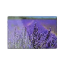 Deska do krojenia Aria szklana 20x30 cm do kuchni