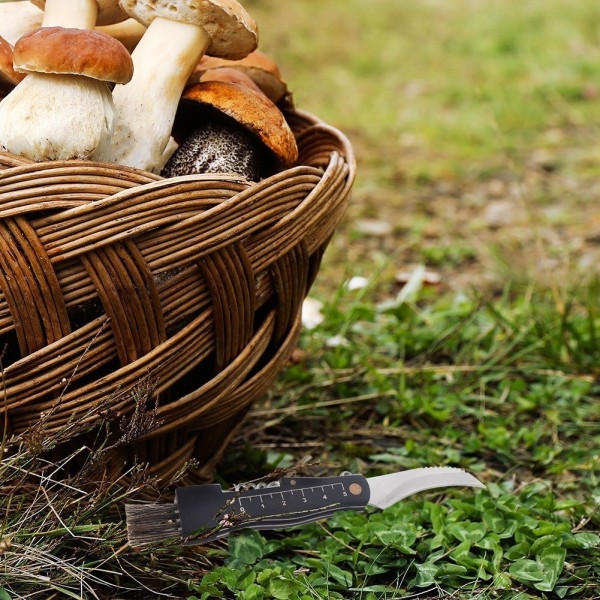 Nóż rzeźnicki Orion 842403 — składany nóż do grzybów, stalowy