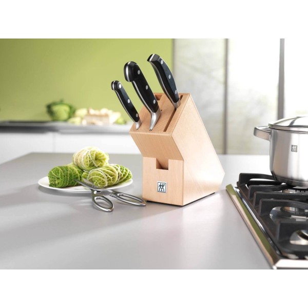 Набір кухонних ножів Zwilling Professional S, 4 шт, з дерев’яним блоком для зберігання