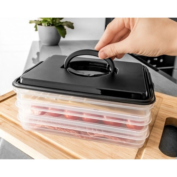 Контейнер для сирів і ковбас, Vilde 122617, 3 рівні органайзер 3×600 мл, для холодильника