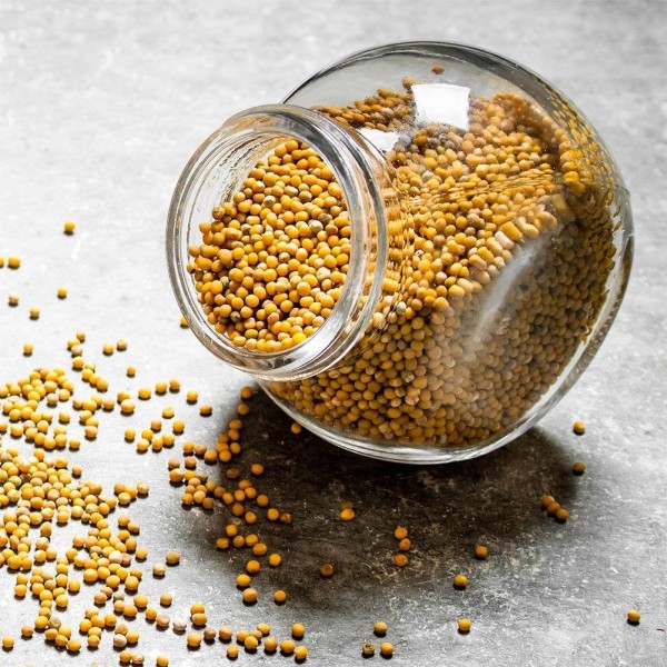 Pojemnik na żywność Orion 127546 (szklany 3 l)