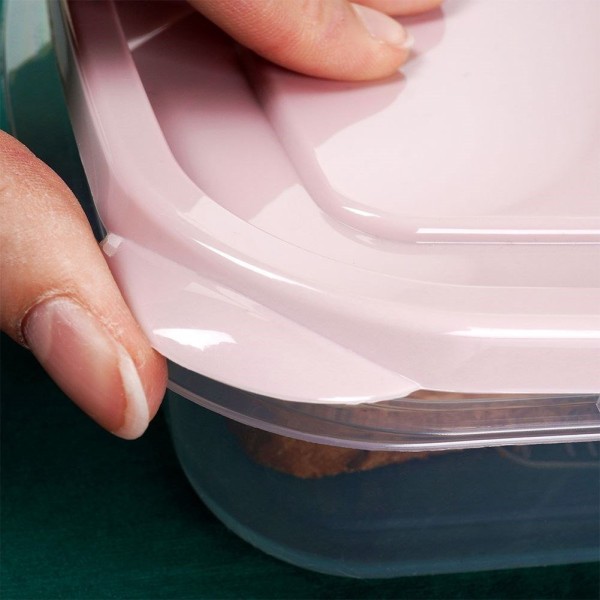 Посудина для зберігання їжі, ORION 127122, пластиковий розділений контейнер 750 мл з кришкою (для обіду/ланчу)