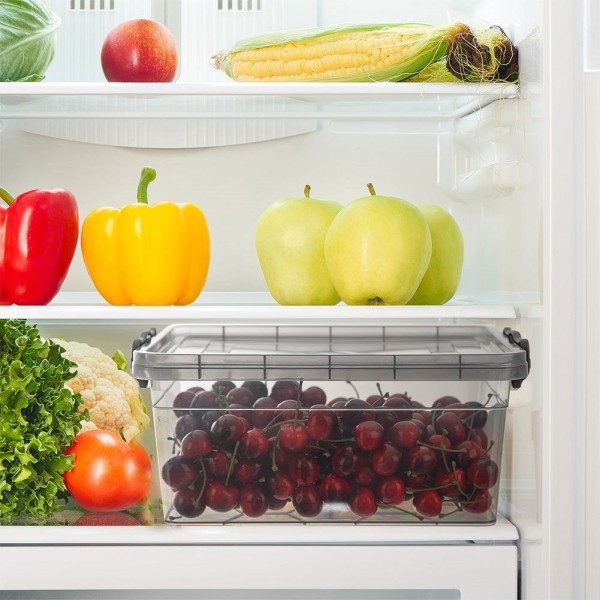 Pojemnik do przechowywania żywności Orion 127311 (5 l)