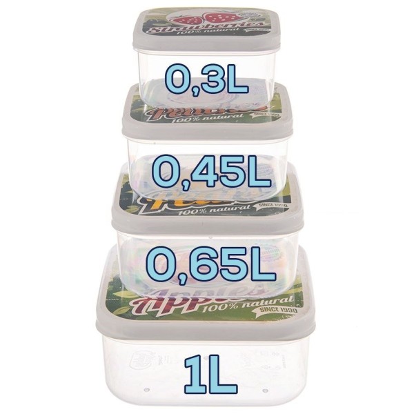 Pojemniki na żywność Orion 154057 (4 elementy)