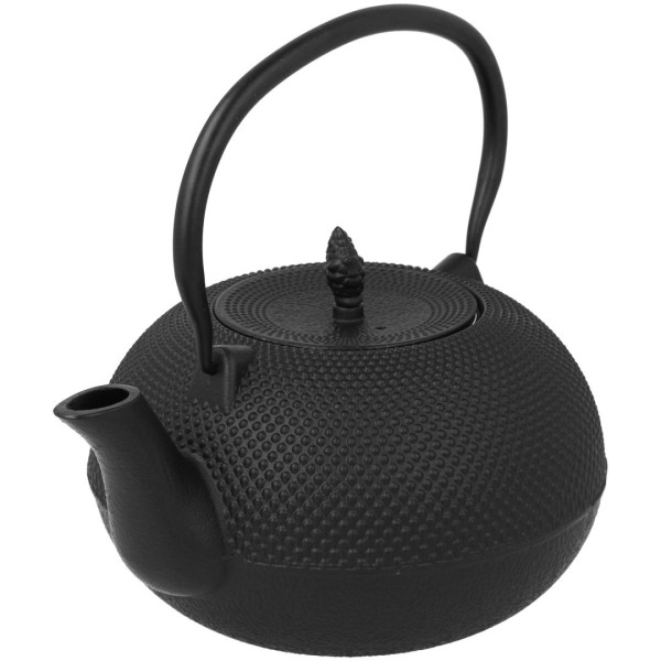 Заварник (для чаю та кави), Zaparzacz żeliwny 850 ml 2489, з фільтром і підгрівачем