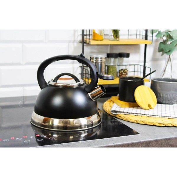 Чайник Сталевий з Гвіздком, BRUNBESTE BB-2273, 2.5 л, індукція/газ, чорний, czajnik  