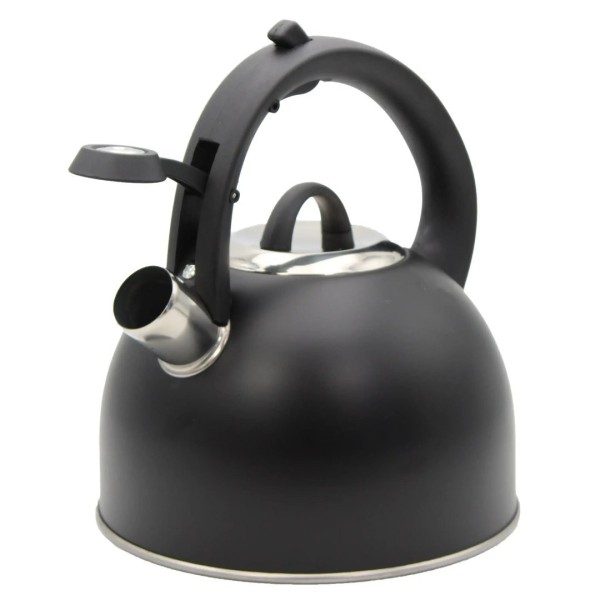 Чайник, Br Unbeste BB-2410, 2.5 л, сталевий з дзвіночком, чорний, газ/індукція, зварюваний