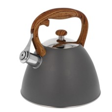 Сталевий чайник зі свистком, газовий індукційний, ВЕЛИКИЙ 3 л, матово-сірий, BRUNBESTE BB-2363