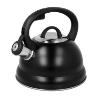 Кухонний чайник, BrunBesté, BB-2406, сталевий з гвинтовим свистком, 2.5 л для індукційних плит, чорний, приклад використання: для закип'ятання води для чаю або кави