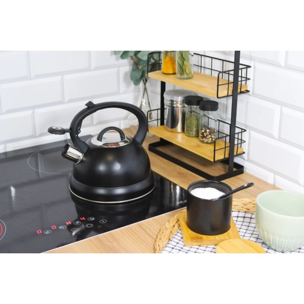 Кухонний чайник, BrunBesté, BB-2406, сталевий з гвинтовим свистком, 2.5 л для індукційних плит, чорний, приклад використання: для закип'ятання води для чаю або кави