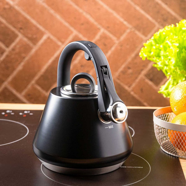 Czajnik ze stali nierdzewnej Klausberg KB-7948 (2,5 l)