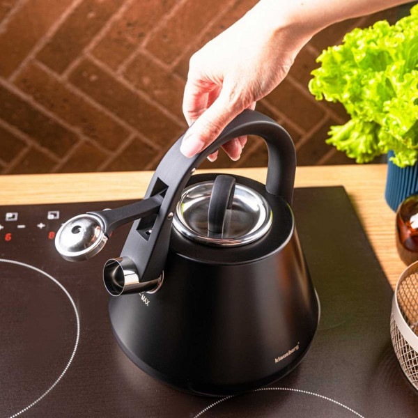 Czajnik ze stali nierdzewnej Klausberg KB-7948 (2,5 l)