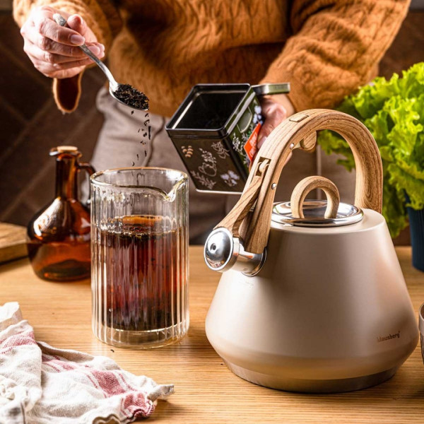 Czajnik stalowy Klausberg KB-7950 (2,5 l)