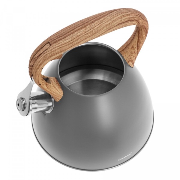 Czajnik stalowy Klausberg KB-7297 3,0 l matowy lakierowany do kuchni