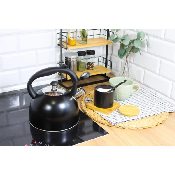 Чайник, Brunbeste, Czajnik stalowy z gwizdkiem tradycyjny na gaz indukcję 2.5L czarny mat BB-2362, Czajnik stalowy з індикатором на газ/індукцію 2.5 л, чорний мат, BRUNBESTE BB-2362