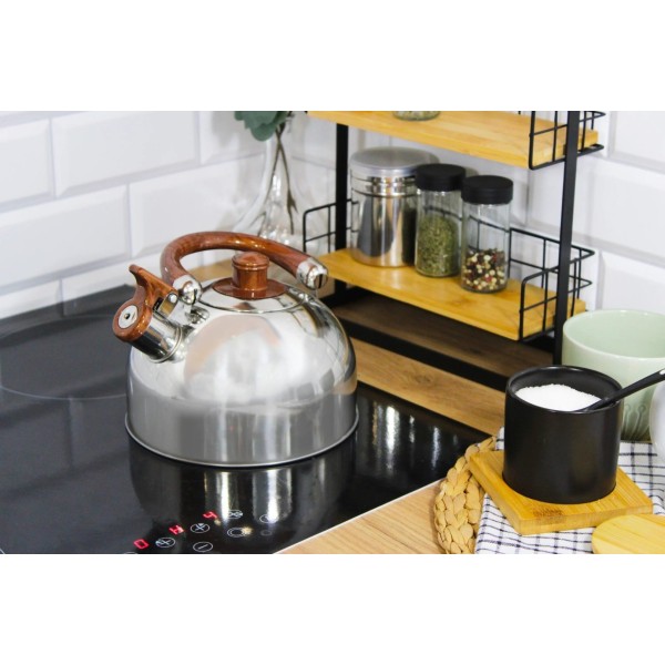 Чайник, Brunbeste, BB-2268, Нікельований з калиброваним свистком, 2.5 л для газових та індукційних плит, сріблястий, використовується для швидкого кип’ятіння води