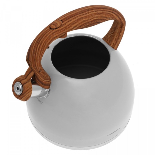 Czajnik stalowy Klausberg KB-7451 matowy lakierowany 3,0 l do kuchni