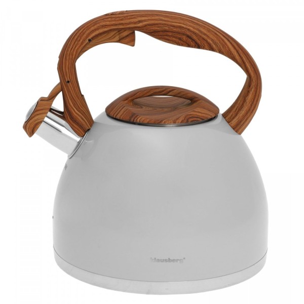 Czajnik stalowy Klausberg KB-7451 matowy lakierowany 3,0 l do kuchni