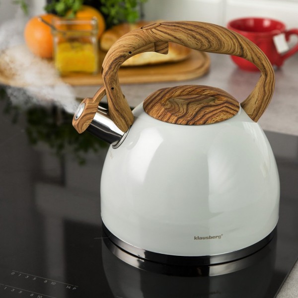Czajnik stalowy Klausberg KB-7451 matowy lakierowany 3,0 l do kuchni