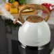 Czajnik stalowy Klausberg KB-7451 matowy lakierowany 3,0 l do kuchni