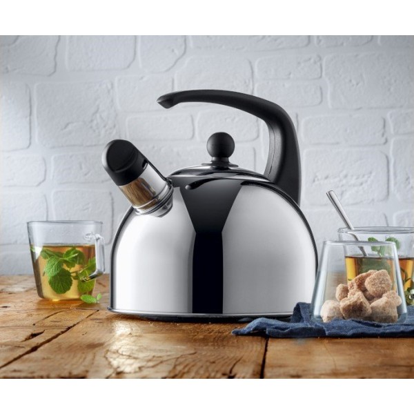 Czajnik z gwizdkiem WMF 2 l — stalowy, do kuchenki tradycyjnej