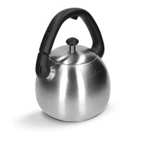 Czajnik do gotowania wody ZwIeger Visionary 3L