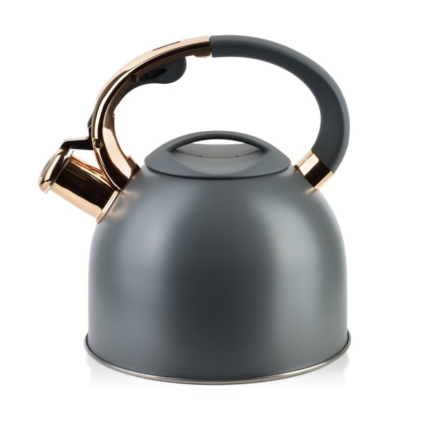 Чайник кухонний Sten Gold 2,5 л для швидкого заварювання чаю та кави