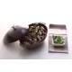 Горщик Staub Special Cocotte овальний чавунний 2 л для запікання морепродуктів