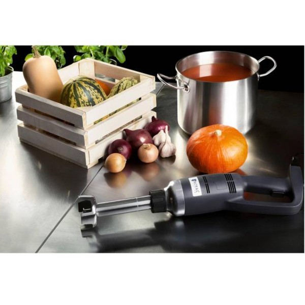 Blender ręczny Royal Catering MC-250 350W 250mm do miksowania i blendowania