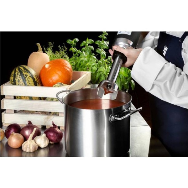 Blender ręczny Royal Catering MC-250 350W 250mm do miksowania i blendowania