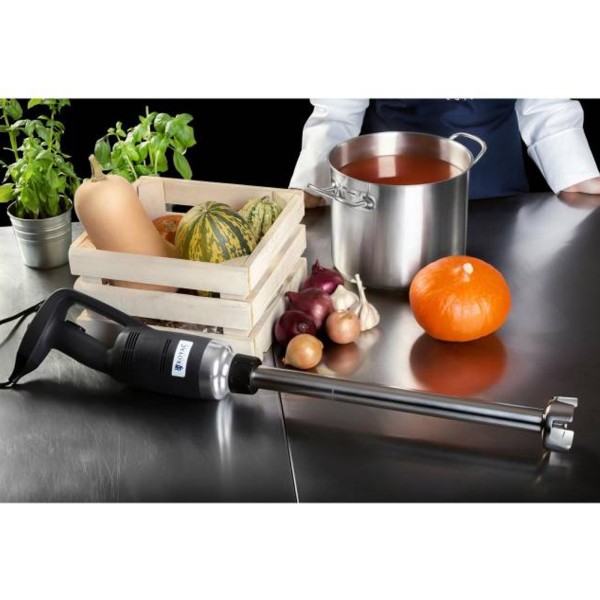 Blender ręczny Royal Catering RC-HB500 o mocy 500W i ramieniu 300mm do miksowania w kuchni