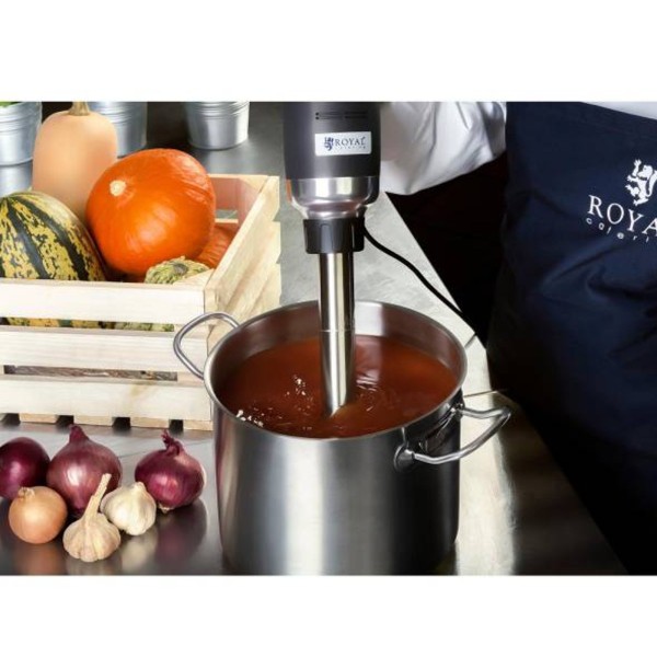 Blender ręczny Royal Catering RC-HB500 o mocy 500W i ramieniu 300mm do miksowania w kuchni