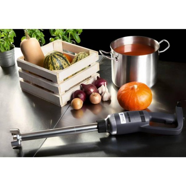 Mikser ręczny Royal Catering mocny blender robot 400mm 500W 230V do kuchni profesjonalnej
