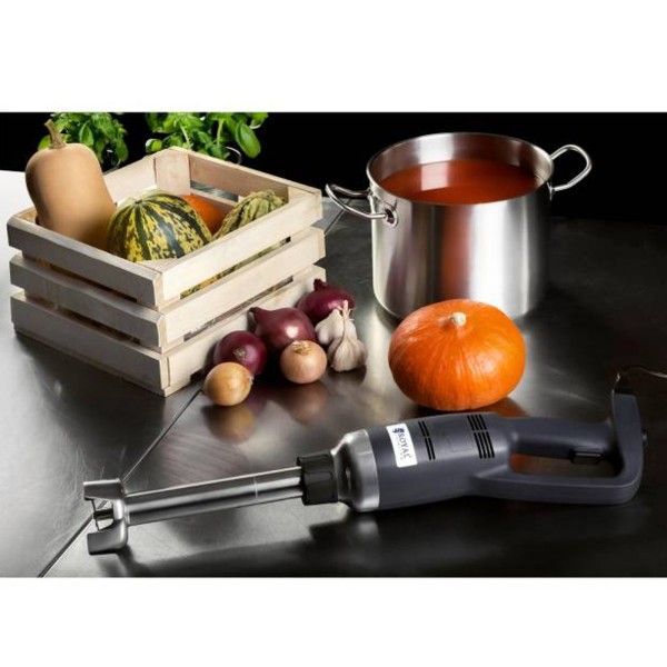 Міксер-міксер Royal Catering робот ручний, для кухонного використання, 350W, 300 мм
