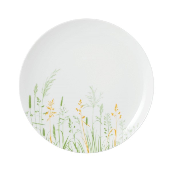 Набір тарілок Seltmann Meadow Grasses Green для салатів 22,5 см, 6 шт.