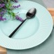 Łyżeczki do herbaty Excellent Houseware 4 sztuki czarne satynowe zestaw