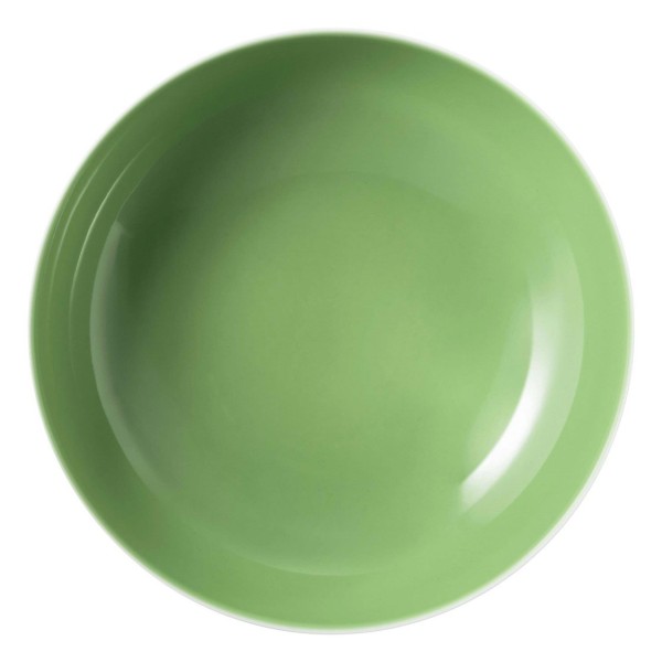 Набір мисок Seltmann Meadow Grasses Green, 2 шт, 25 см для сервірування