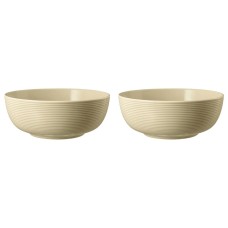 Набір мисок Selntmann Beat Color Glaze, 2 шт, 20 см для сервірування