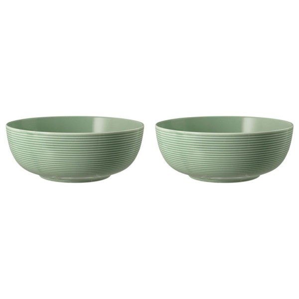 Набір мисок для сервірування Seltmann Beat Color Glaze, 2 шт, діаметр 20 см