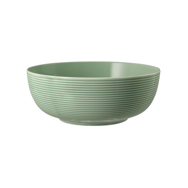 Набір мисок для сервірування Seltmann Beat Color Glaze, 2 шт, діаметр 20 см